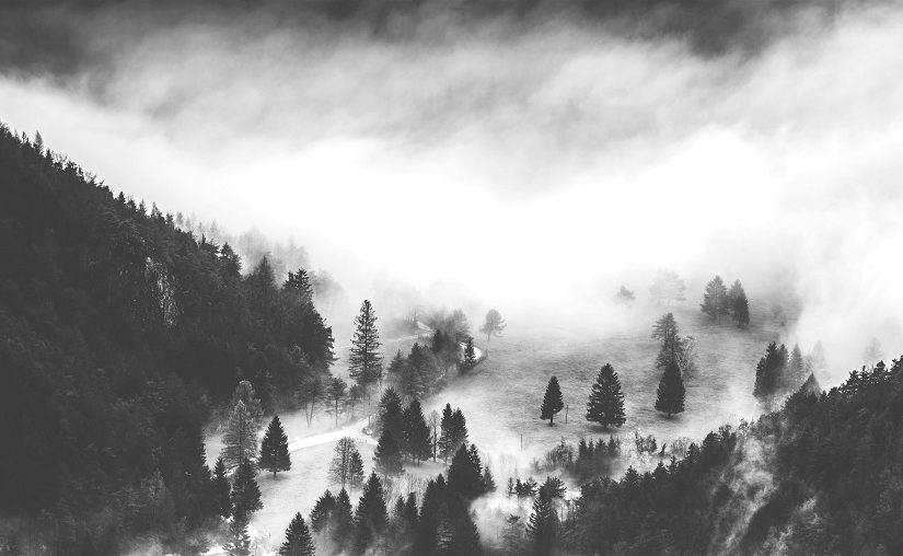 czarno biala fototapeta